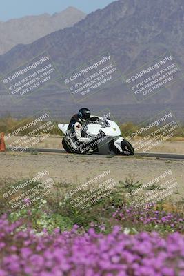 media/Feb-04-2023-SoCal Trackdays (Sat) [[8a776bf2c3]]/Turn 15 Inside Blooming (1050am)/